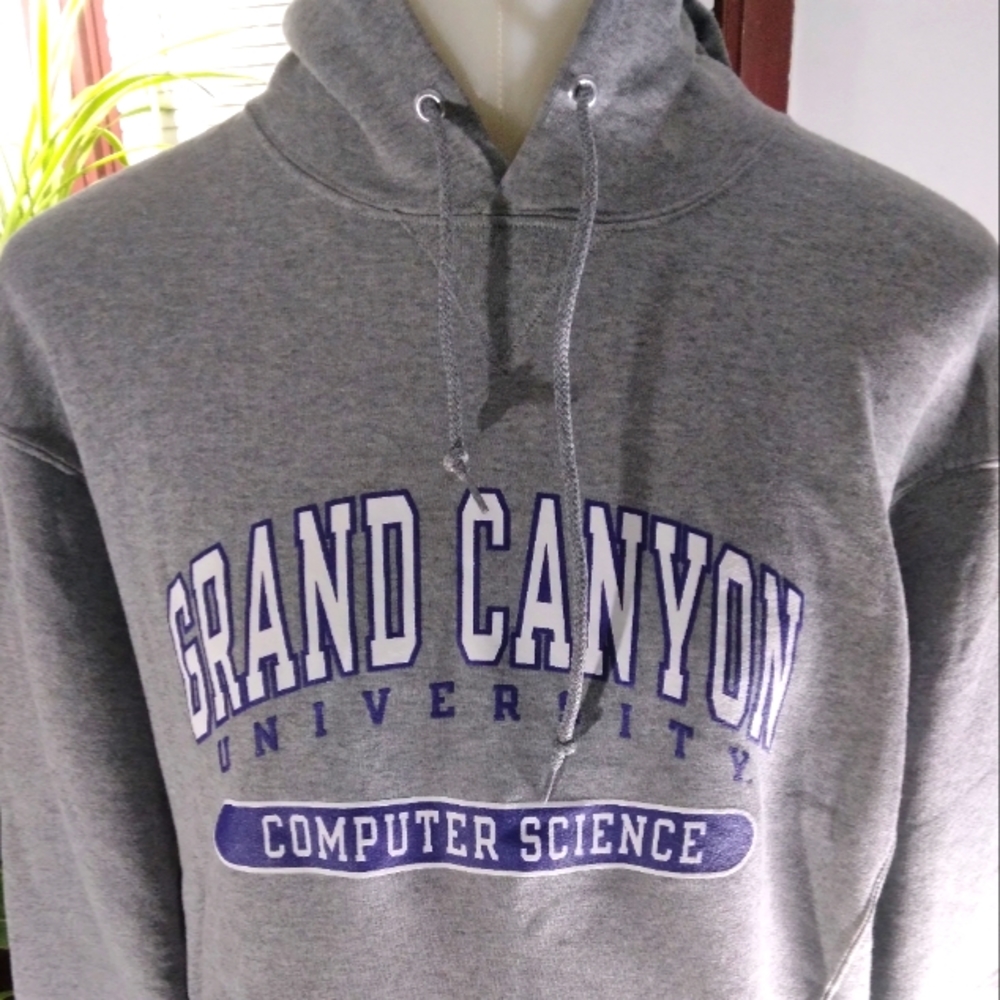 Collegiate Gray hoodie